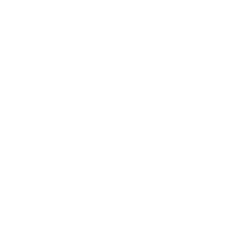 hire-wordpress-developers-element-5