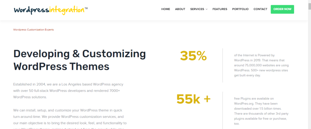 WordPress Theme Installation Expert